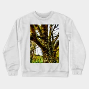 The Tree by the River Crewneck Sweatshirt